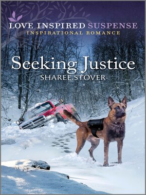 cover image of Seeking Justice